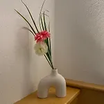 Residenz Maroi - Wasle Apartment *